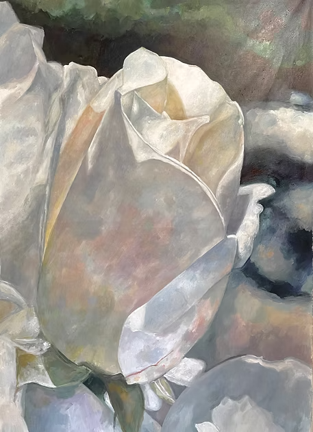 White Rosebud