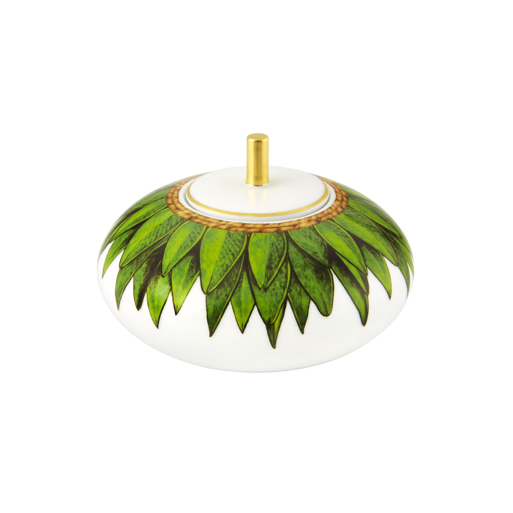 Amazonia Sugar Box