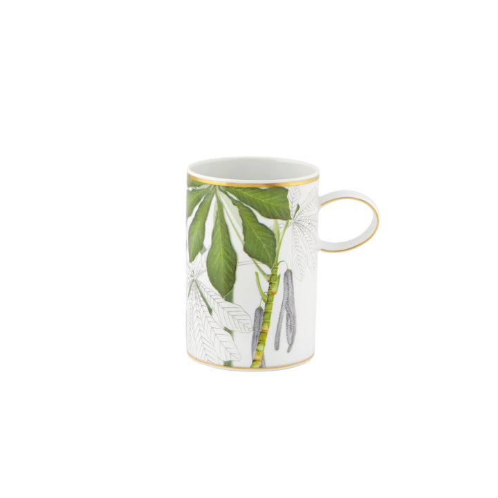 Amazonia Mugs (Set of 4)