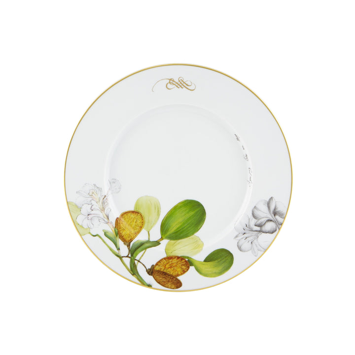 Amazonia Dinner Plate