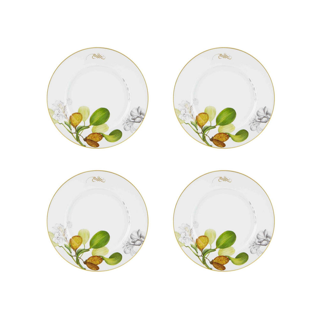 Amazonia Dinner Plate