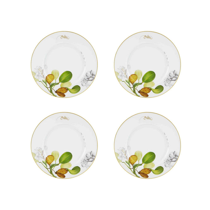 Amazonia Dinner Plate