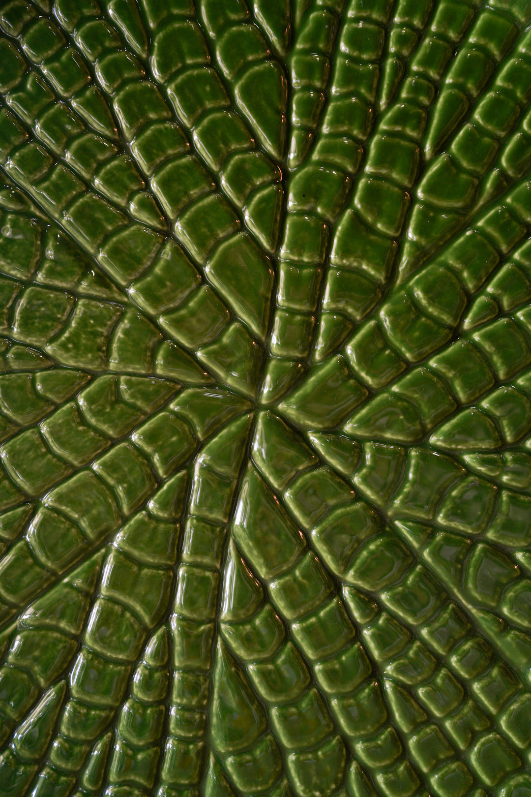 Amazonia Centerpiece