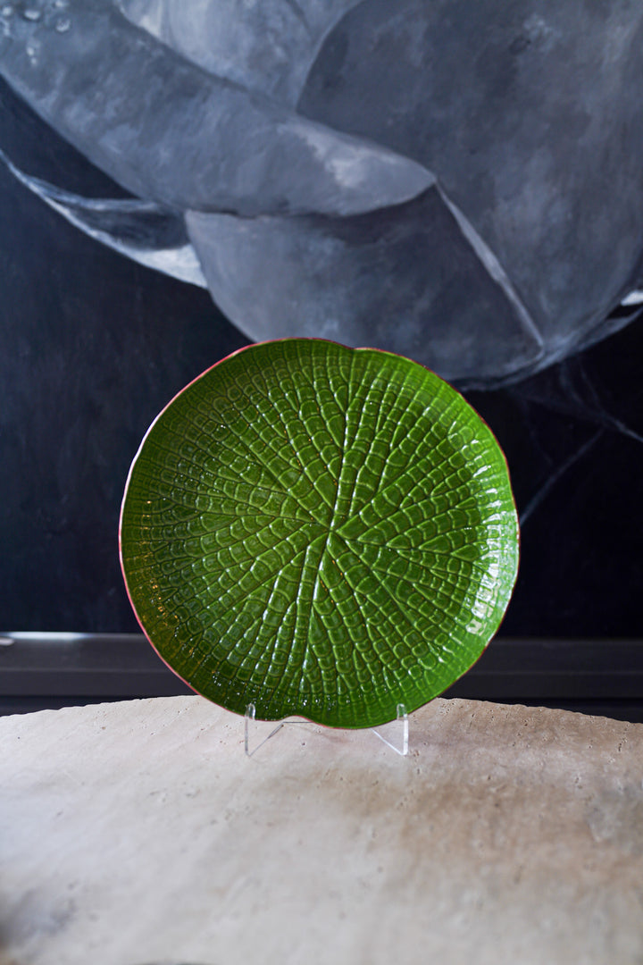 Amazonia Centerpiece